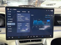 Denza BYD Denza Z9GT 1100 AWD Ultra - ფოტო 11