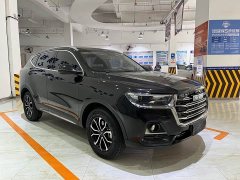 Haval H6 2021 National Trend Edition 1.5T Automatic Urban Version - ფოტო 3