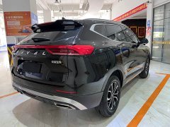Haval H6 2021 National Trend Edition 1.5T Automatic Urban Version - ფოტო 4