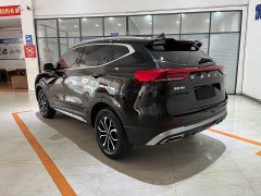Haval H6 2021 National Trend Edition 1.5T Automatic Urban Version - ფოტო 6