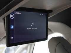 Toyota Alphard Hybrid 2.5L Premium Edition - ფოტო 13