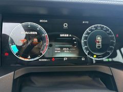 Tank 300 Off-Road Edition 2.0T Conqueror - ფოტო 14