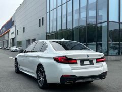 BMW 5 Series 525Li M Sport Package - ფოტო 19