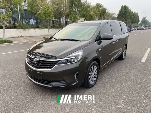 2021 Buick GL8 Land Business Class 652T Premium - ავტომობილი ჩინეთიდან