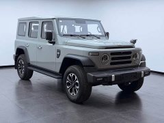 BYD 212 T01 2.0T Diesel - ფოტო 3