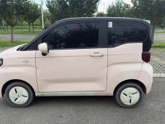 Chery QQ Ice Cream 120km Milkshake LFP Battery - ფოტო 4
