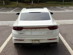 Geely Xingrui 2.0T Diesel Premium - ფოტო 11
