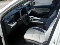 Geely Xingrui 2.0T Diesel Premium - ფოტო 4