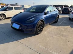 Tesla Model Y Long Range All-Wheel Drive 3D7 - ფოტო 1
