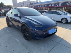 Tesla Model Y Long Range All-Wheel Drive 3D7 - ფოტო 7