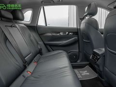 Geely Galaxy E5 610km Explorer Edition - ფოტო 13