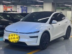 Tesla Model Y Long Range All-Wheel Drive - ფოტო 1