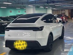 Tesla Model Y Long Range All-Wheel Drive - ფოტო 18
