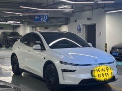 Tesla Model Y Long Range All-Wheel Drive - ფოტო 3