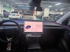 Tesla Model Y Long Range All-Wheel Drive - ფოტო 8