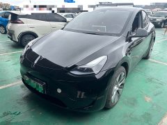 Tesla Model Y Rear-Wheel Drive - ფოტო 1