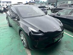 Tesla Model Y Rear-Wheel Drive - ფოტო 3