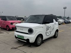 Geely Panda Mini 200km Endurance Edition - ფოტო 1