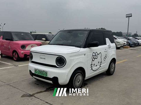 2024 Geely Panda Mini 200km Endurance Edition - ავტომობილი ჩინეთიდან