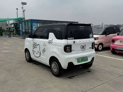Geely Panda Mini 200km Endurance Edition - ფოტო 3