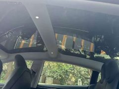 Tesla Model 3 Rear-Wheel Drive - ფოტო 9