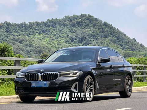 2021 BMW 5 Series 530Li Premier Luxury Package - ავტომობილი ჩინეთიდან