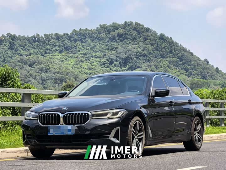 BMW 5 Series 530Li Premier Luxury Package
