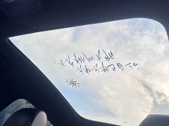 BYD Dolphin 405km Fashion Edition - ფოტო 16