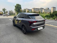 Neta Nezha V Standard Range Industry Custom Edition - ფოტო 4