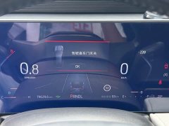 Ford EVOS EcoBoost 245 Fashion Edition - ფოტო 15