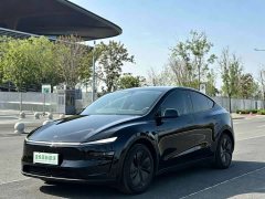 Tesla Model Y Rear-Wheel Drive - ფოტო 1