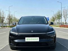 Tesla Model Y Rear-Wheel Drive - ფოტო 2