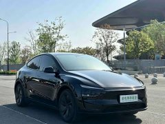Tesla Model Y Rear-Wheel Drive - ფოტო 4