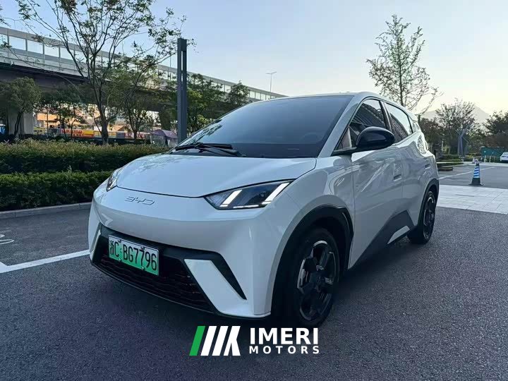 BYD Seagull 2024 Glory Edition 305km Freedom Version - ავტომობილი ჩინეთიდან
