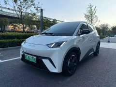 BYD Seagull 2024 Glory Edition 305km Freedom Version - ფოტო 1