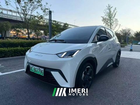 2023 BYD Seagull 2024 Glory Edition 305km Freedom Version - ავტომობილი ჩინეთიდან