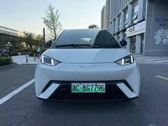 BYD Seagull 2024 Glory Edition 305km Freedom Version - ფოტო 2