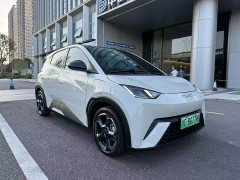 BYD Seagull 2024 Glory Edition 305km Freedom Version - ფოტო 3