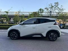 BYD Seagull 2024 Glory Edition 305km Freedom Version - ფოტო 7