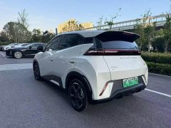 BYD Seagull 2024 Glory Edition 305km Freedom Version - ფოტო 9