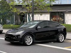 Tesla Model Y Standard Range RWD - ფოტო 1