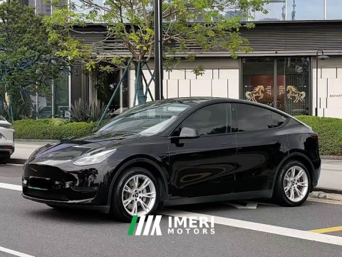 2021 Tesla Model Y Standard Range RWD - ავტომობილი ჩინეთიდან