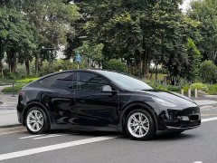Tesla Model Y Standard Range RWD - ფოტო 3