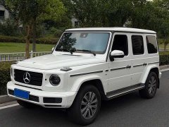 Mercedes-Benz G-Class G 350 - ფოტო 1