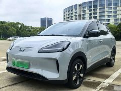 Wuling Binguo PLUS 330km 5-Seater - ფოტო 1