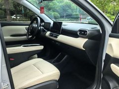 Wuling Binguo PLUS 330km 5-Seater - ფოტო 11