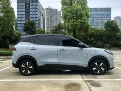 Wuling Binguo PLUS 330km 5-Seater - ფოტო 13