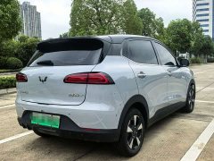 Wuling Binguo PLUS 330km 5-Seater - ფოტო 14