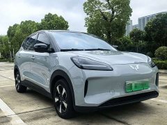 Wuling Binguo PLUS 330km 5-Seater - ფოტო 2