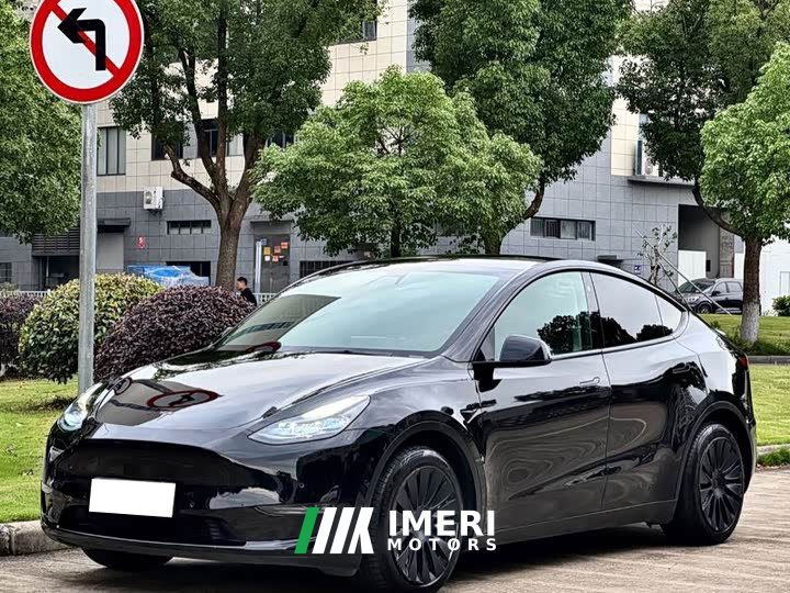 Tesla Model Y Standard Range RWD - ავტომობილი ჩინეთიდან